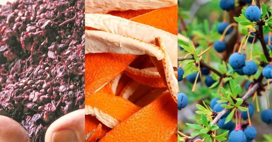 Expertos revelan cómo los residuos agroindustriales pueden convertirse en valiosos recursos