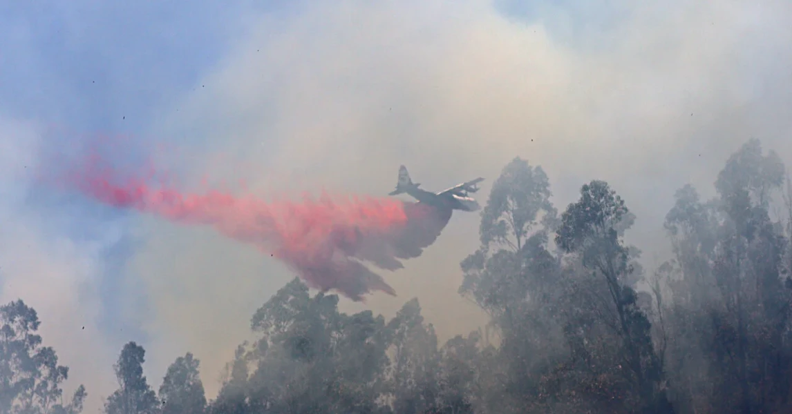 Imagen del artículo