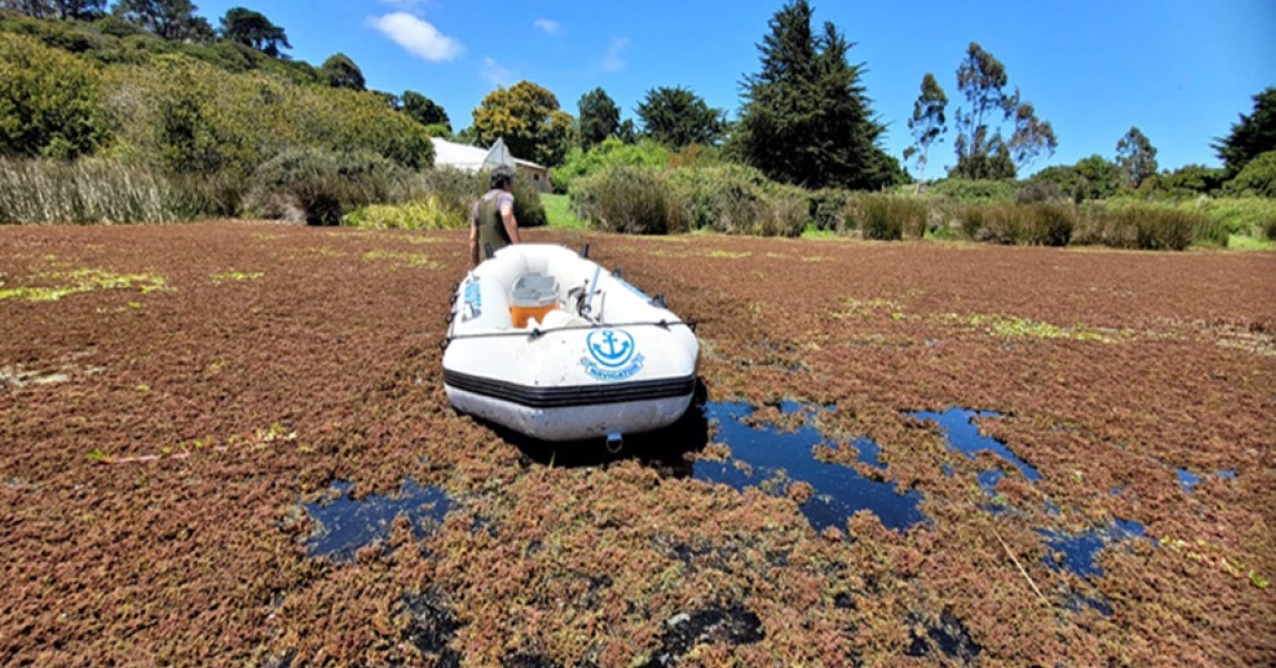 Deterioration of lakes in south-central Chile revealed