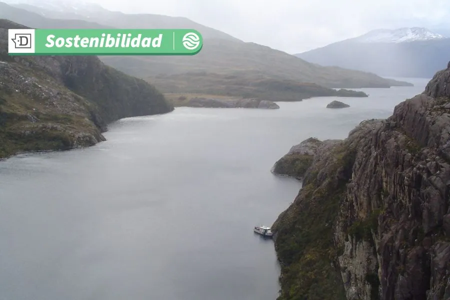 Salud para los océanos y el planeta: Descubren bosque de hidrocorales rojos en reserva nacional de Magallanes