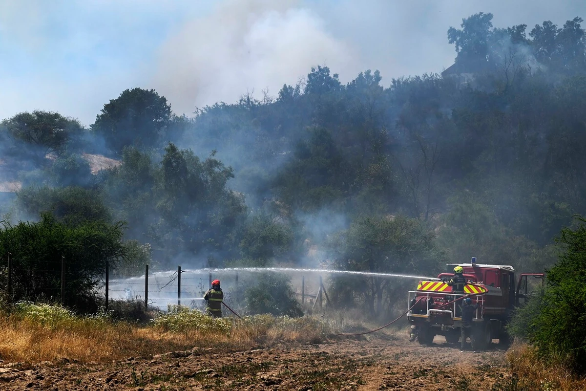 Multas para quienes no limpien vegetación seca de sus parcelas: La propuesta que avanza en la ley de incendios