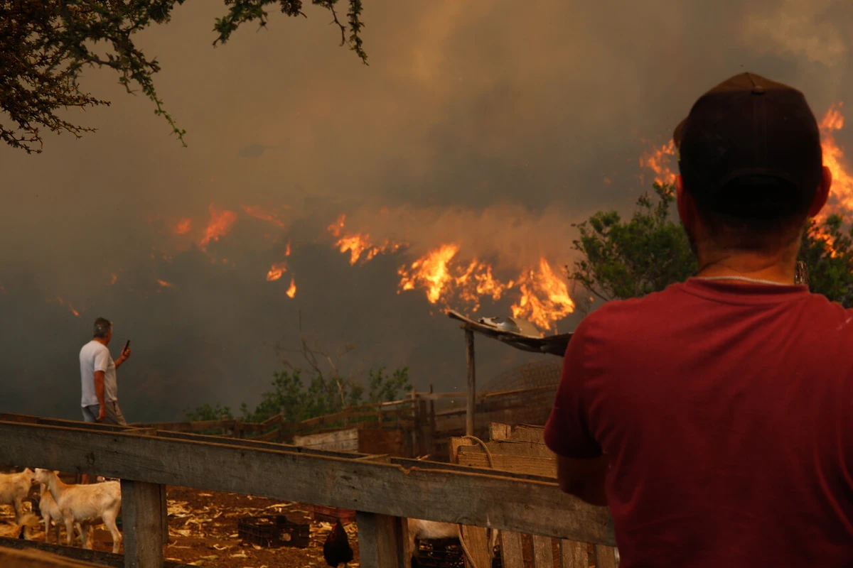 Cómo un pastel de choclos en horno de barro desató el fatal incendio forestal de San Esteban