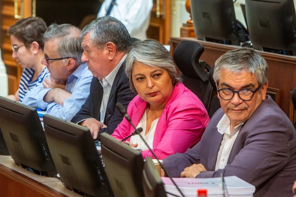 Senadores y gobierno ponen pié en el acelerador para sacar reforma de pensiones en enero