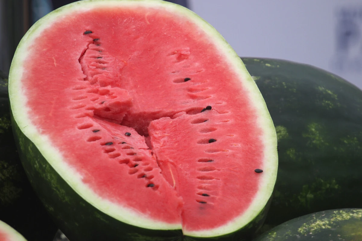 Sandía, la reina del verano: El origen de la fruta preferida de Chile y que se relaciona a buenos recuerdos