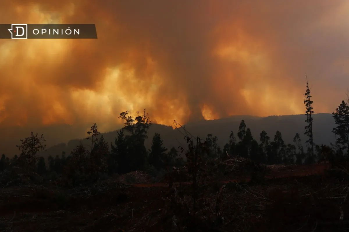 Aprobar la Ley de Incendios es una urgencia para Chile