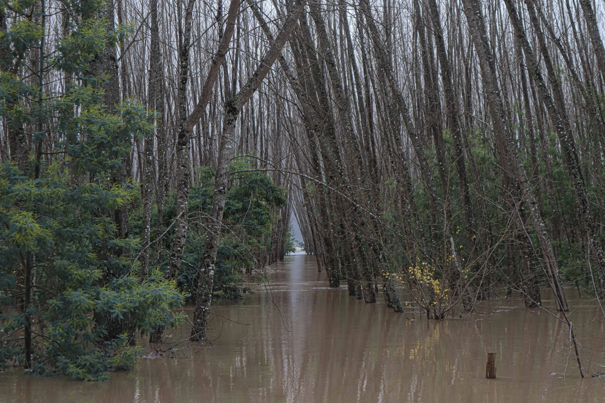 Crisis climática acentúa riesgos de inseguridad alimentaria en América Latina