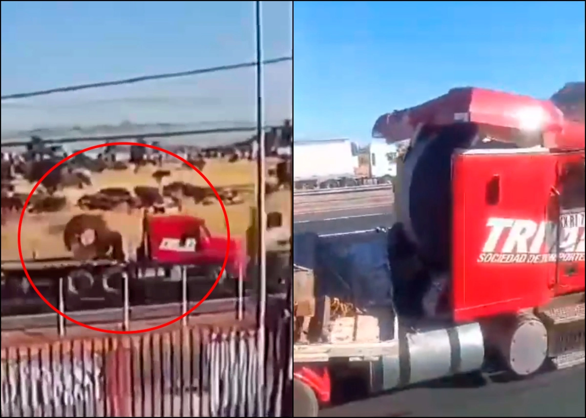 VIDEO| Salvó con vida: El momento exacto que rollo de acero de 27 toneladas aplasta a chofer en Ruta 68