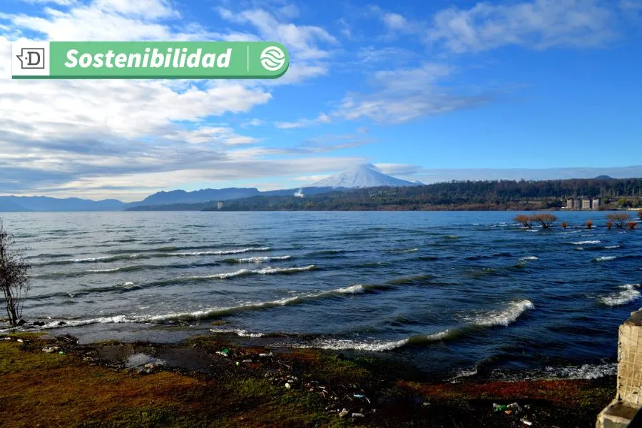 Justicia para la cuenca del lago Villarrica: Consejo de Ministros aprueba histórico plan de descontaminación