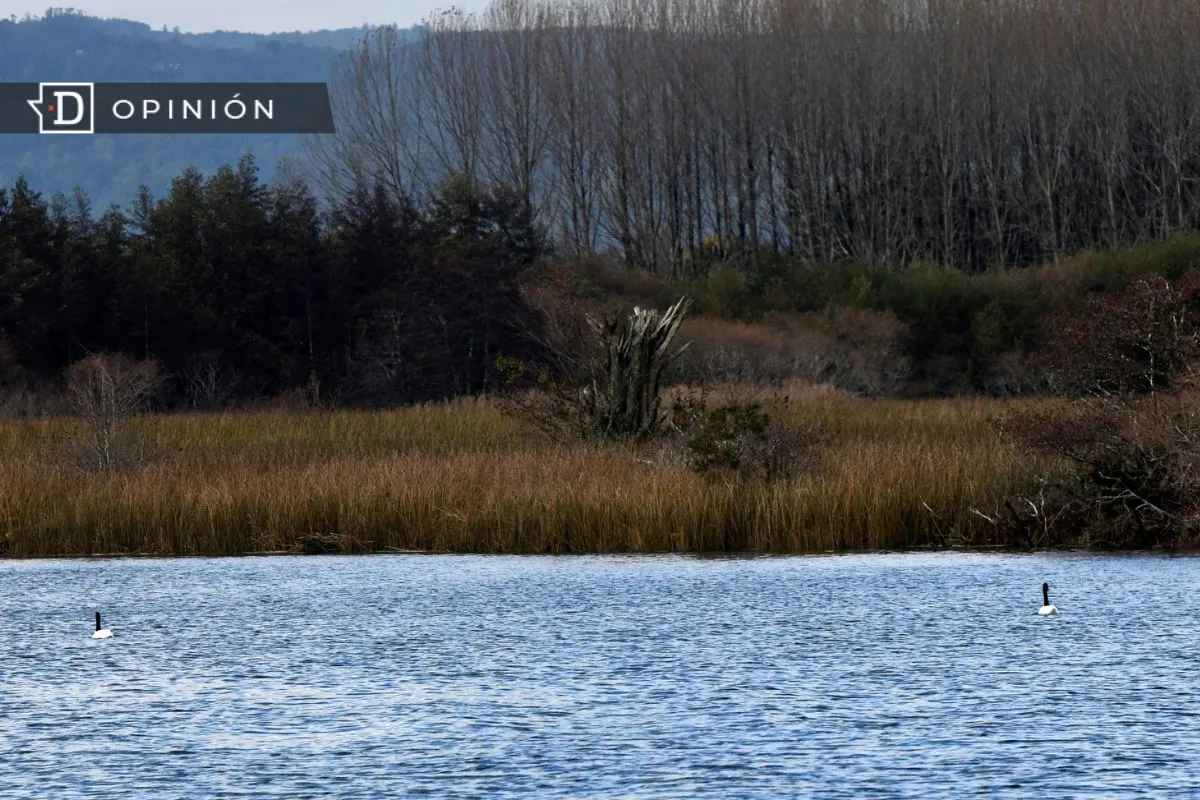 Soluciones basadas en la Naturaleza y humedales: Una inversión para el futuro