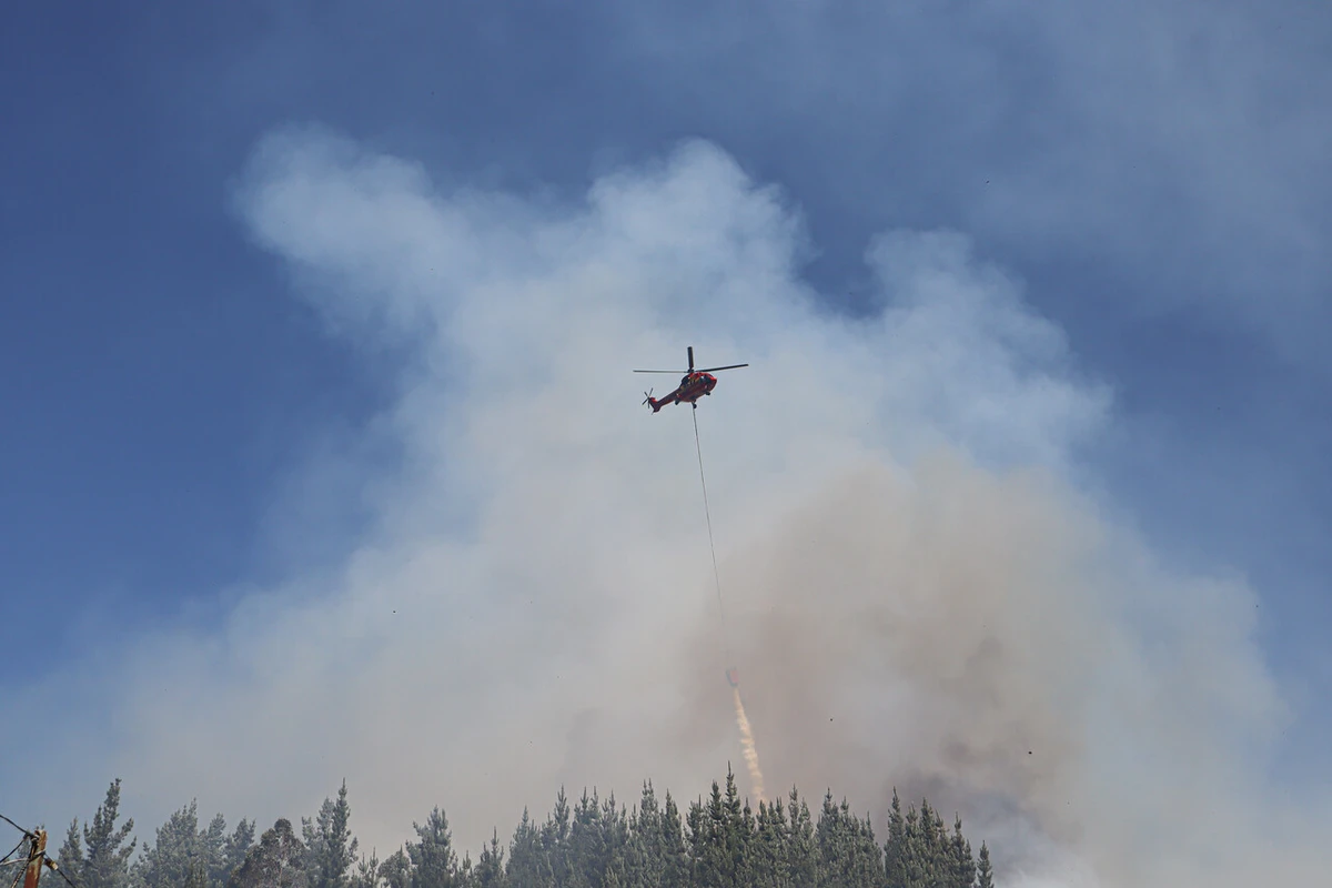 Alerta SAE: Senapred ordena evacuación del sector Cajón del Lebu en Limache por incendio forestal