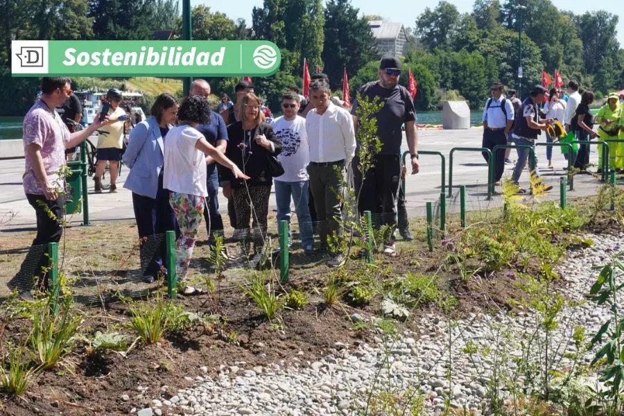 Inauguración de “Bosque hundido” en Valdivia: Campañas de movilidad sostenible y Soluciones basadas en la Naturaleza