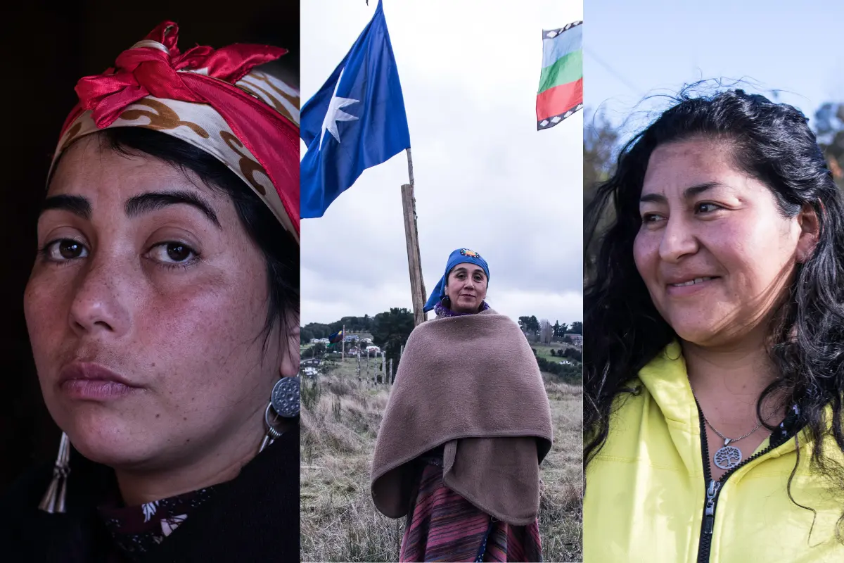 Tres mujeres mapuche lideran lucha contra mega proyectos eléctricos: Nuevo libro cuenta sus historias