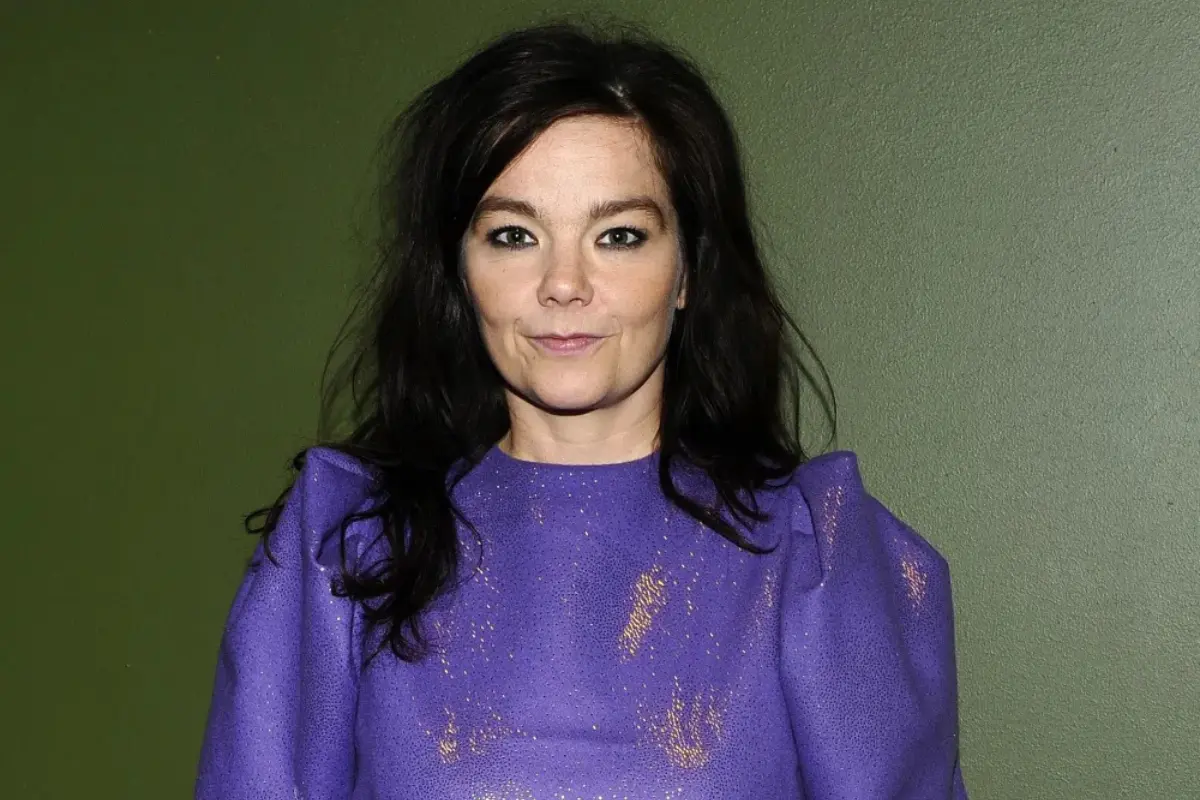 Björk en picada contra Spotify: 