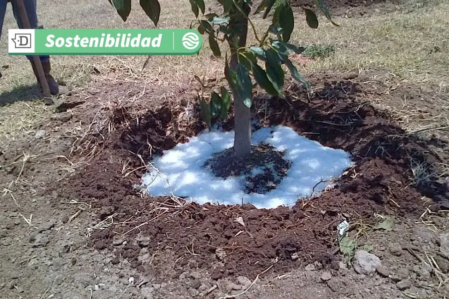 Emprendimiento mexicano cambia la forma de riego con “lluvia sólida”: Permite un ahorro de agua de hasta un 90%