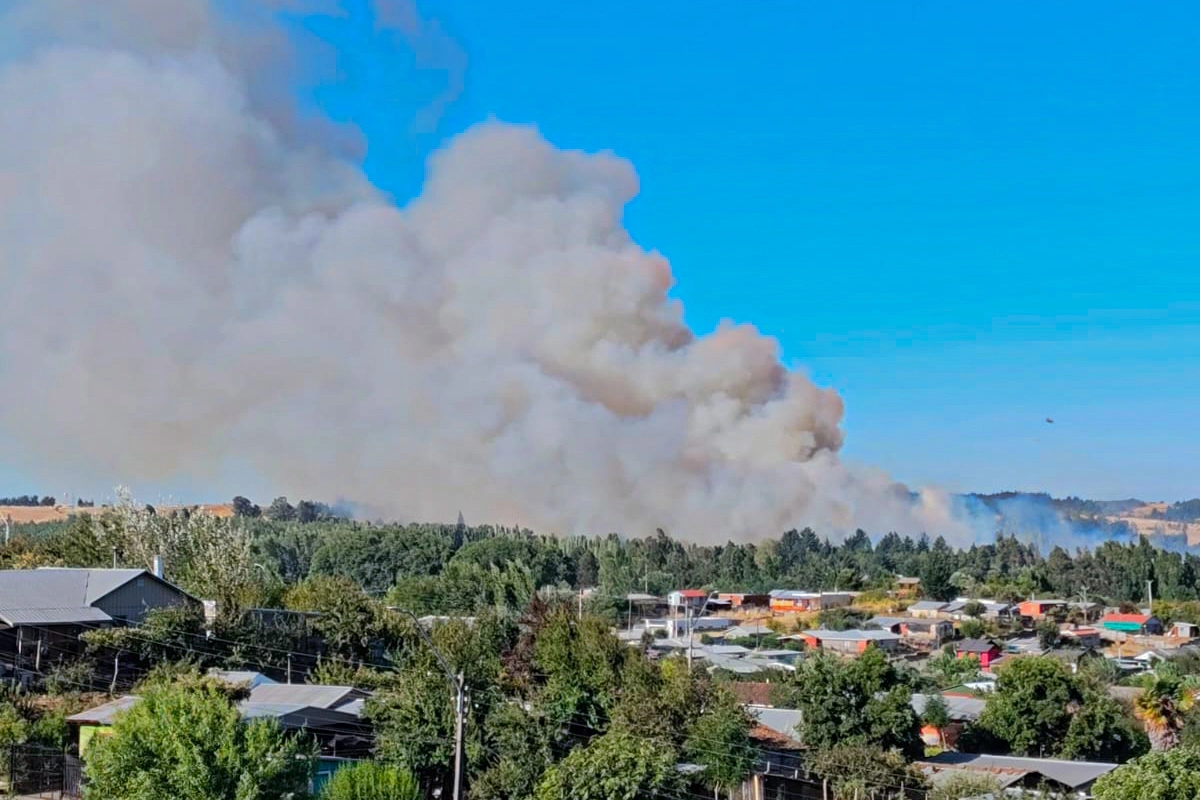 Estado de Emergencia en Maule y Ñuble: Esta tarde se conocerán las comunas que tendrán toque de queda