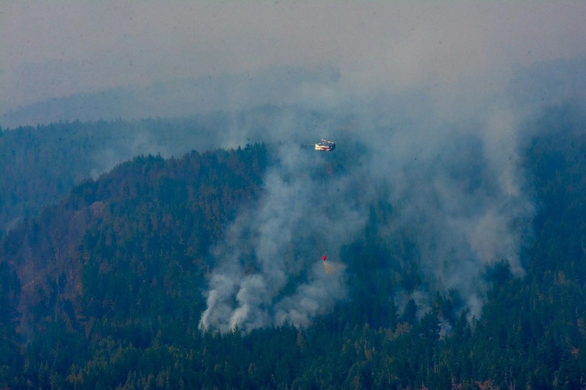 Patagonia sigue ardiendo: Incendios consumen ecosistemas únicos compartidos con Chile