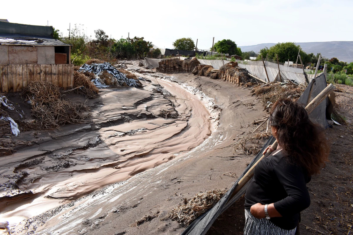 Chile extremo: Inundaciones, cortes de camino e incluso del tren en Arica dejan las lluvias altiplánicas