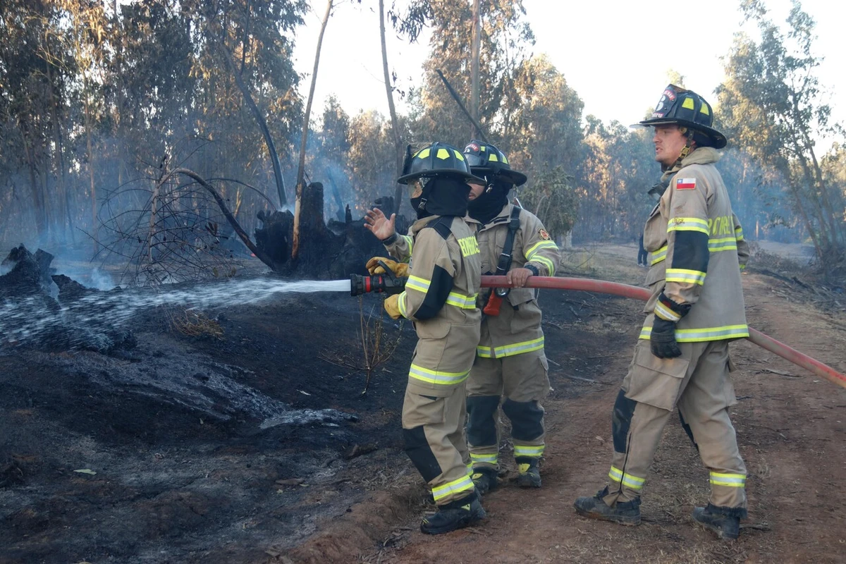 Alerta SAE: Ordenan evacuar ector Santa Guiselle en la comuna de Coihueco, Región de Ñuble