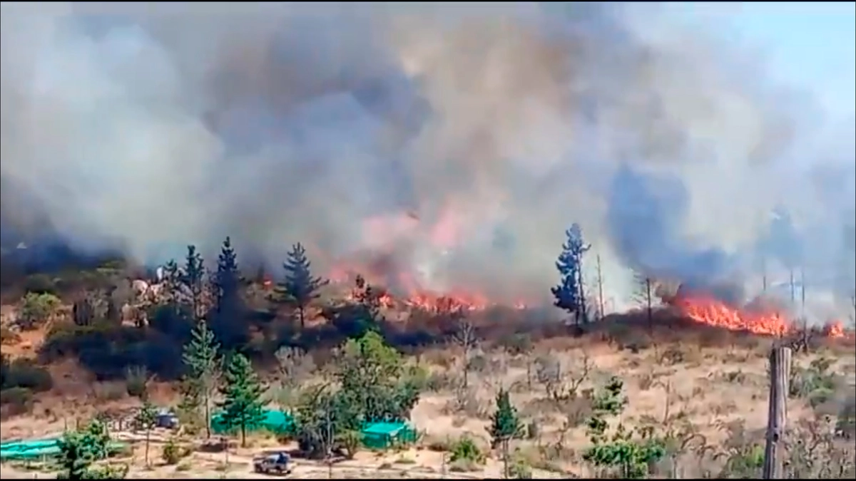 Alerta SAE: Incendio obliga a evacuar sector Hacienda San Enrique de Santo Domingo, Región de Valparaíso