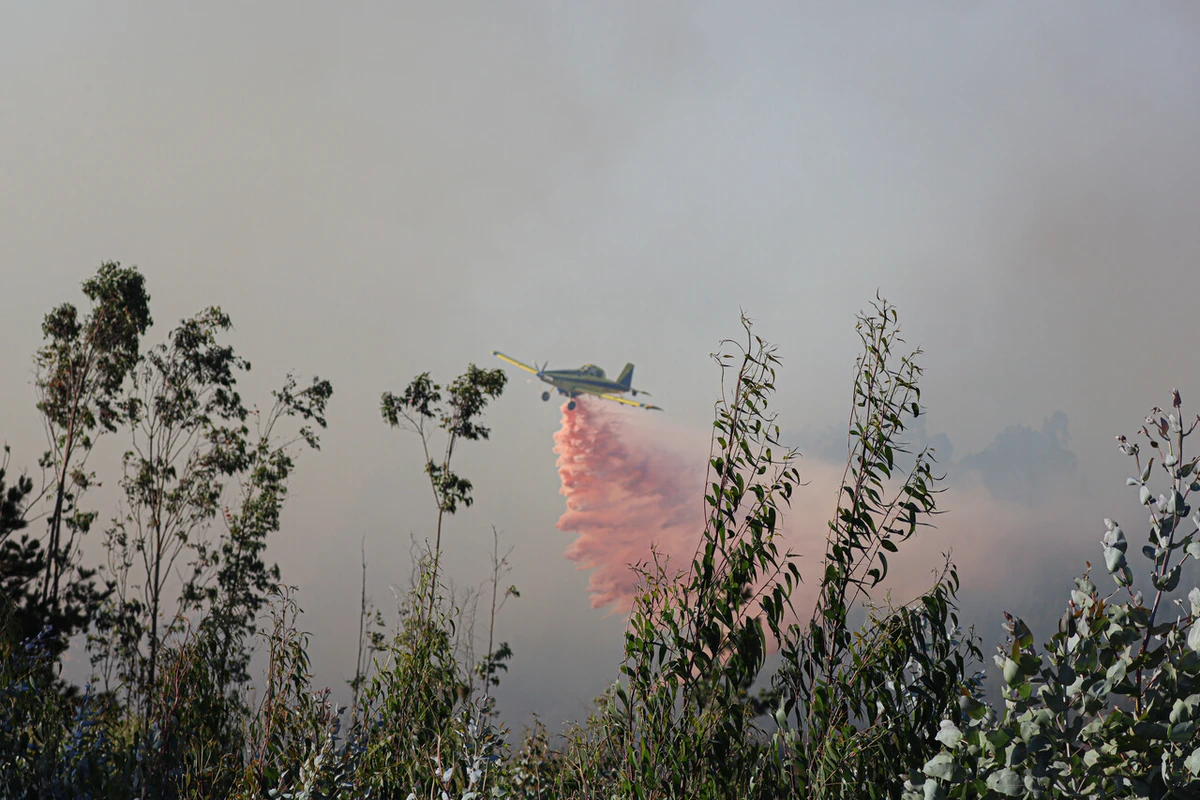 Gobierno confirma sospechas de intencionalidad en incendios: Evaluarán toque de queda para este lunes