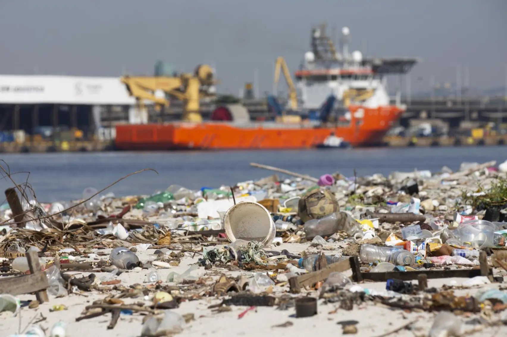 El islote de 80 toneladas de basura en Río de Janeiro que parece un punto verde en que anidan garzas y gaviotas