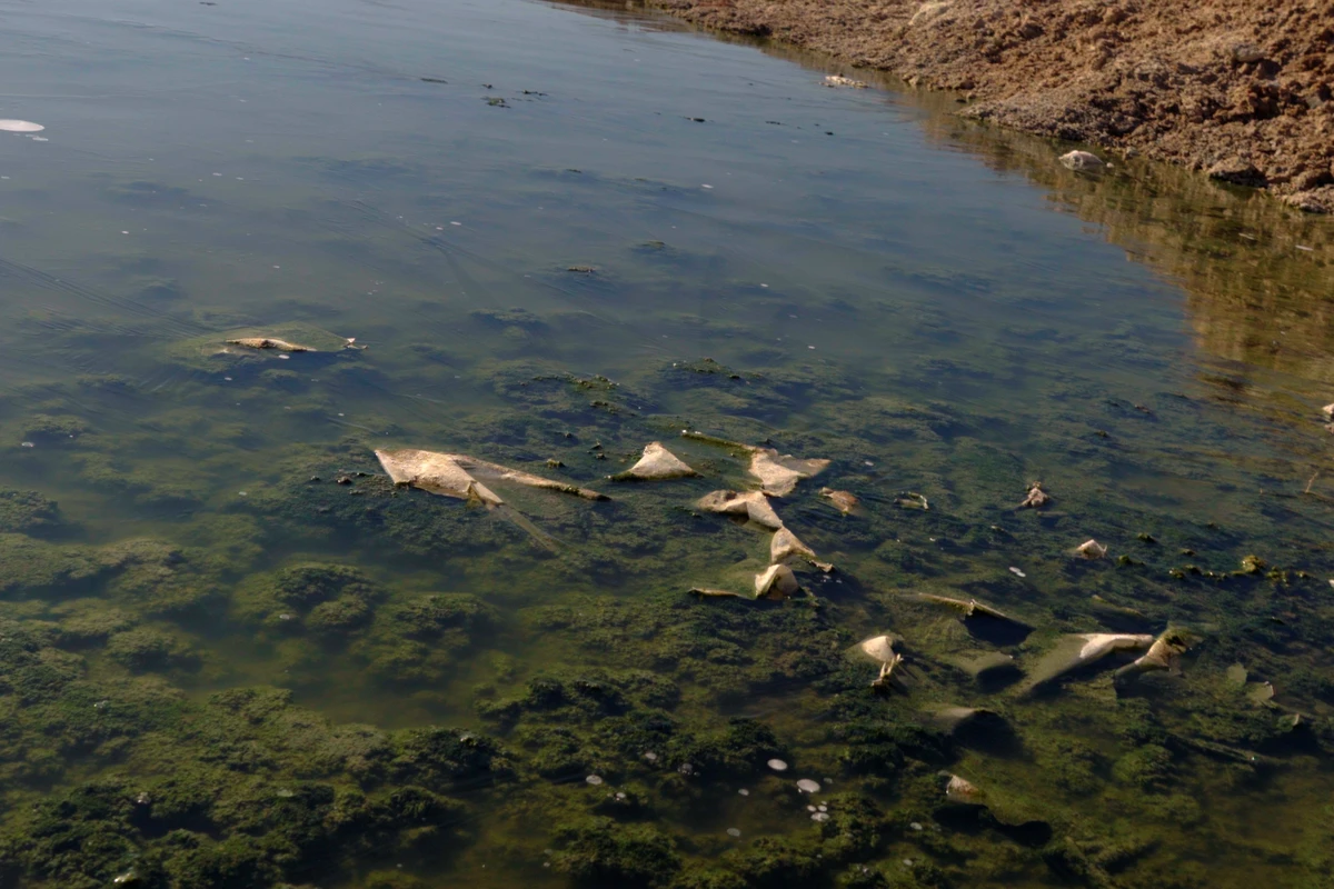 Quechuas de Ollagüe denuncian años de vertimiento de aguas servidas a salar: “A veces no se puede ni respirar”