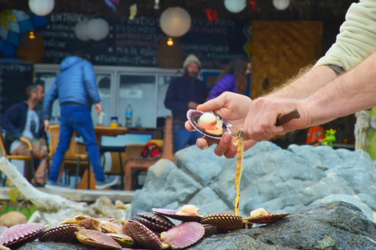 Con actividades gratuitas y música: Disfruta de la mejor gastronomía mundial en Bahía Inglesa