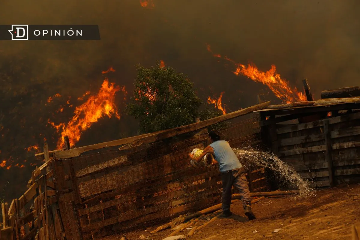 A un año del megaincendio en la región de Valparaíso: Una reconstrucción aún pendiente