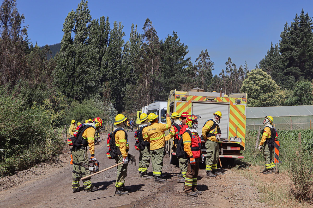 Nuevo detenido por incendios forestales: Ya van 121 apresados por generar fuego de forma intencional