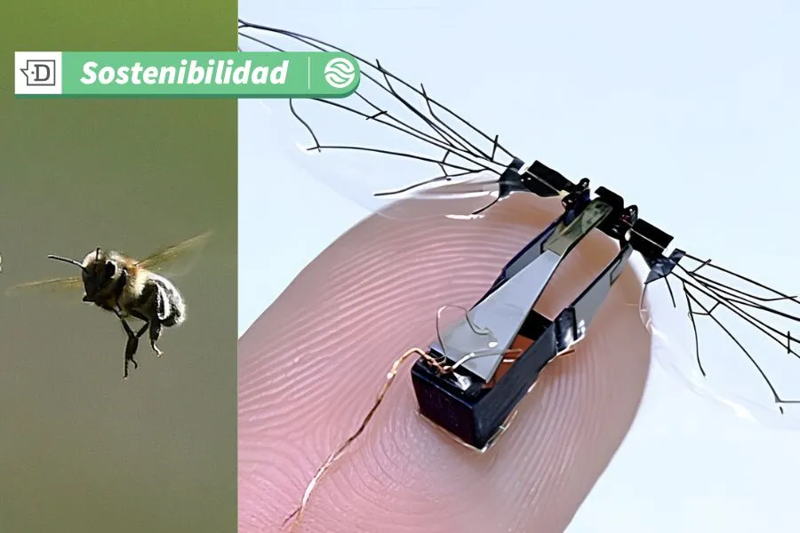 ¿Ciencia ficción o innovación?: Ingenieros del MIT desarrollan “abejas robóticas” con la intención de ayudar a polinizar