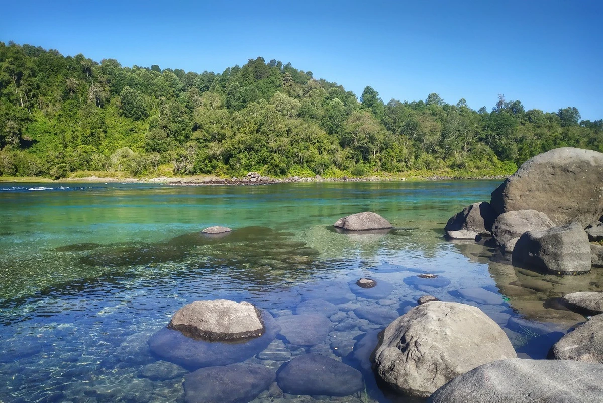 Cultivo de salmones aguas arriba del río Calle Calle moviliza a vecinos y científicos de Valdivia