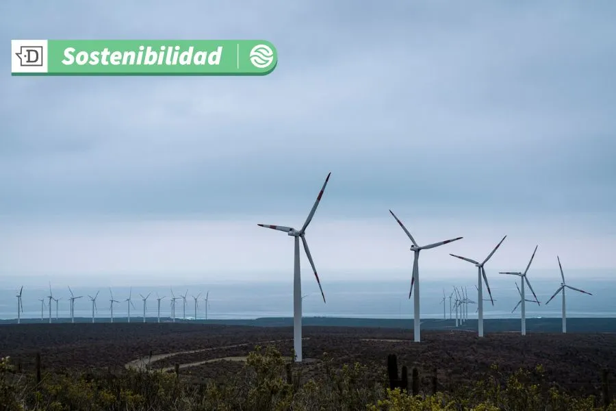 Hoy se celebra el Día Mundial de la Energía: Compromisos y acciones por la sostenibilidad