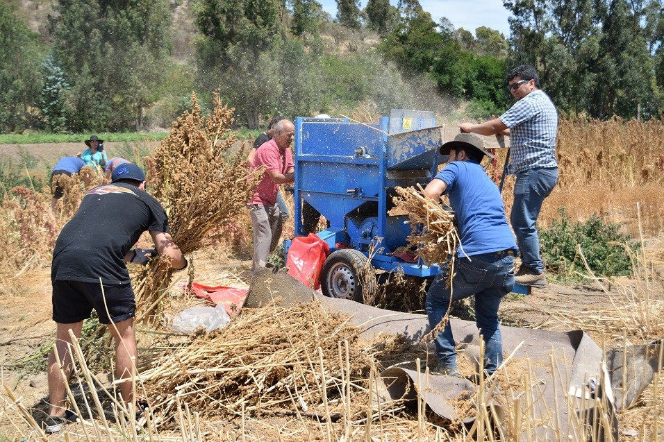 Calor extremo afecta a agricultores y comerciantes: Sectores pierden 4% de riqueza por cada grado sobre la media