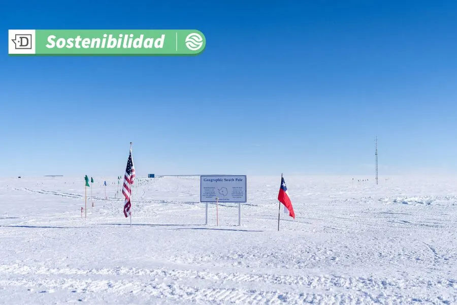 Retos para conservar la biodiversidad en la Antártica: Conocimiento sobre ecosistemas terrestres es limitado