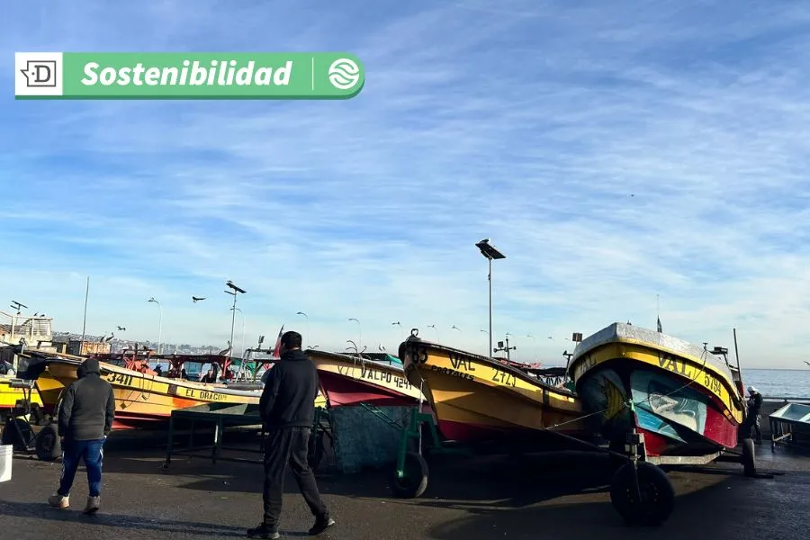 Por una pesca sustentable: 50% de los alimentos del mar en Chile enfrentan alto riesgo respecto a su comercialización