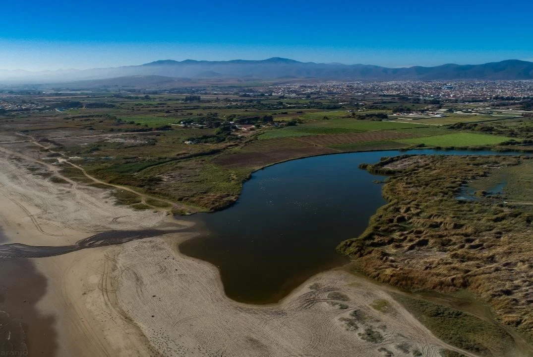 Anulan protección de humedal costero en La Serena, que impedía proyecto de 12 torres y laguna artificial