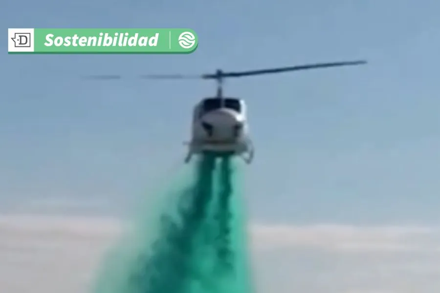 VIDEO| Hidrosiembra con helicópteros: ¿Una alternativa para la reforestación tras continuos incendios forestales?