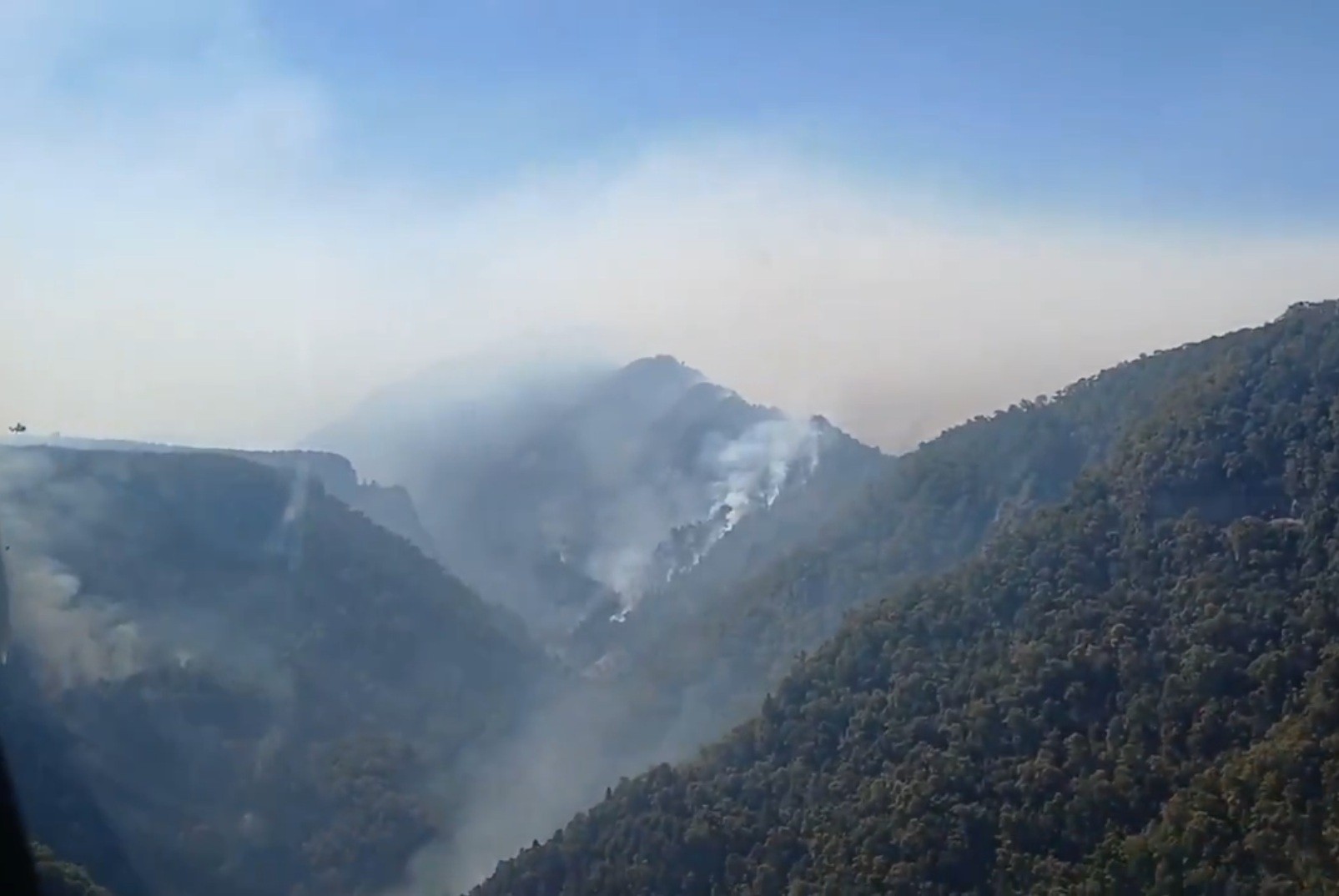 Vecinos de Ñuble acusan que traba normativa retrasó protección de huemul y bosque nativo ante incendio forestal