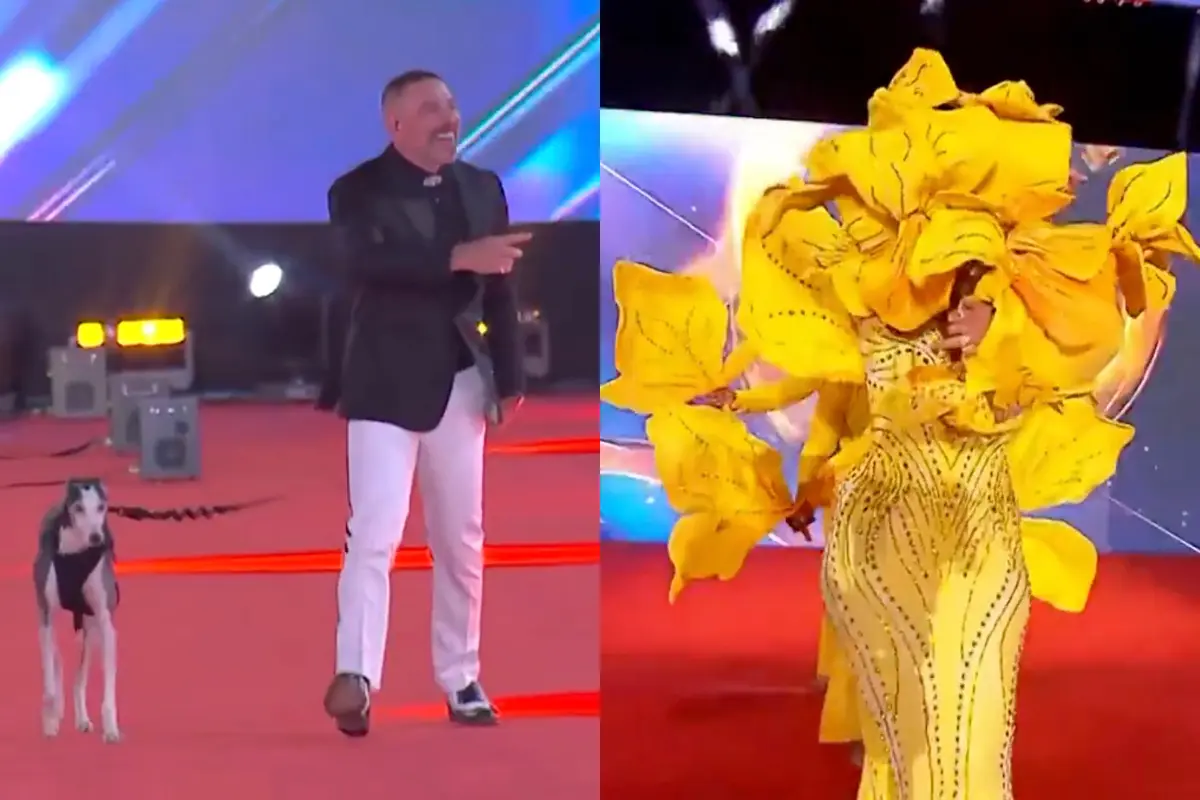 VIDEO| Desde un perro hasta una flor: Los primero invitados deslumbran en gala de Viña 2025