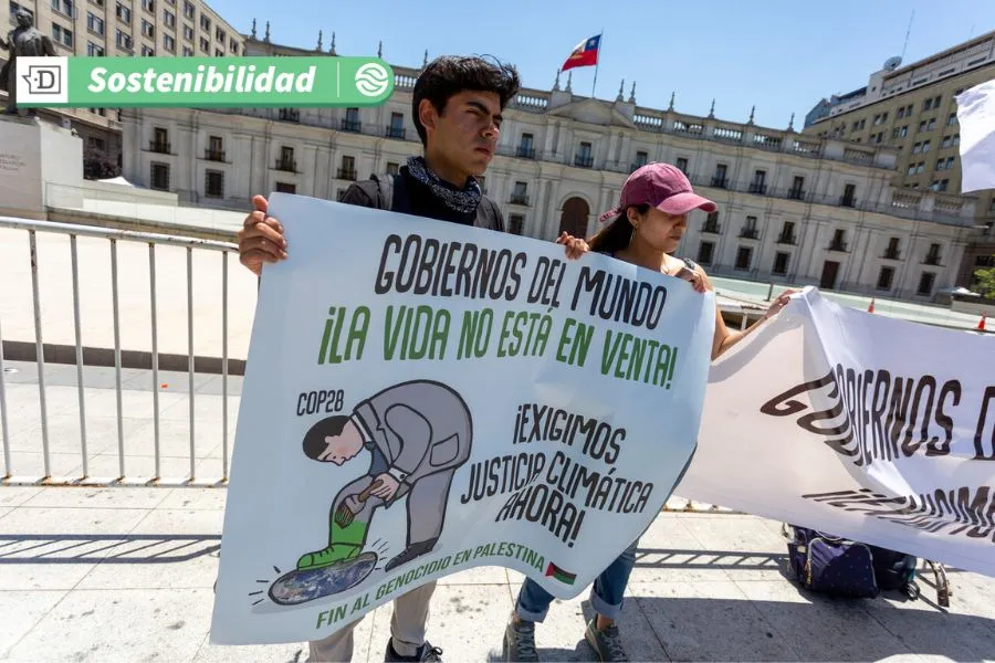 COP30 de Brasil en la mira: Los jóvenes se organizan y posicionan como actores clave en contra del cambio climático