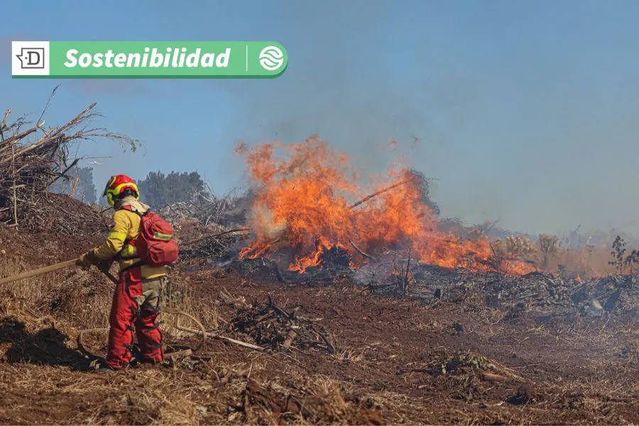 Innovación ante cambio climático: Tecnología predice incendios forestales y optimiza la gestión del paisaje