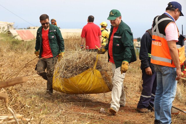 Balance agrícola luego de la temporada de incendios: Gobierno descarta aumento en el precio de los alimentos