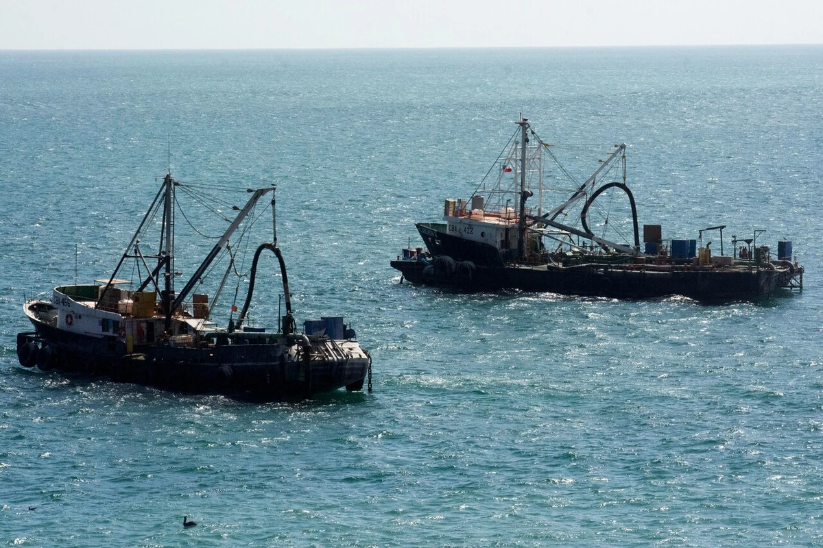 Crimen organizado llega al mar: Abogados chilenos usan satélites para perseguir la pesca ilegal