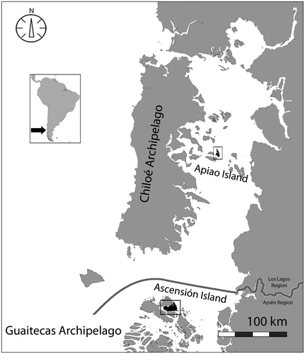 Ubicación de Isla Ascensión e Isla Apiao.