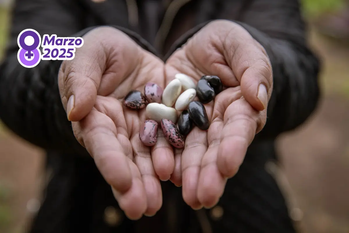 Generar sueldo familiar en armonía con la naturaleza e innovación: Así ya lo hacen recolectoras, cosechadoras y pescadoras