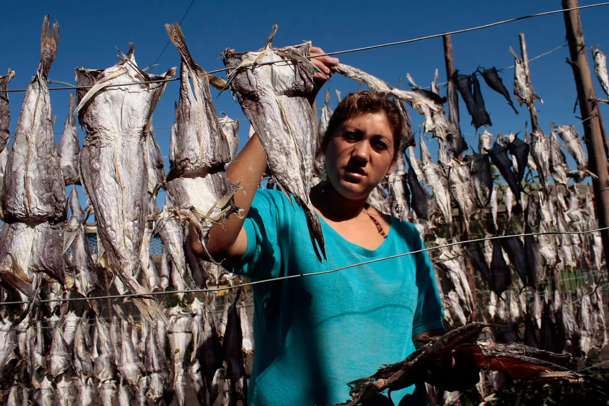 Mujeres de la pesca artesanal solicitan reunión con ministra Orellana por impacto de nuevo fraccionamiento de merluza