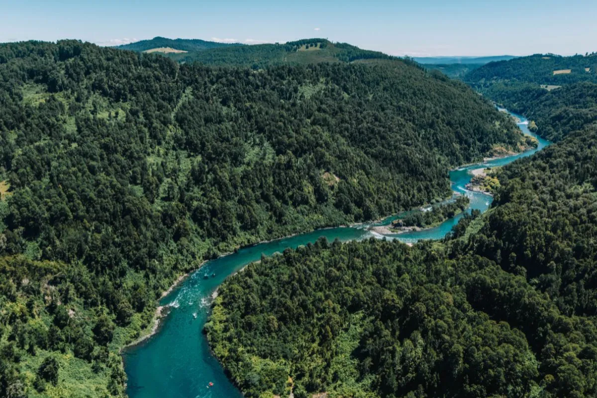 Río San Pedro, comuna de Los Lagos, región de Los Ríos / Créditos: Pablo Lloncón