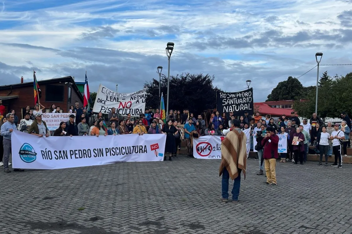 Marcha ciudadana “¡No a la salmonera, río San Pedro libre!” febrero 2025, comuna de Los Lagos, región de Los Ríos