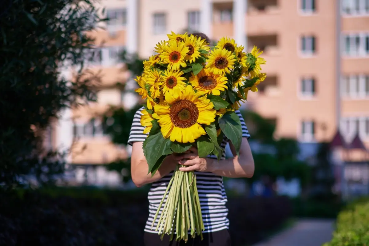 Día de las flores amarillas: Cómo nace, a quién se les regala y por qué cada 21 de marzo