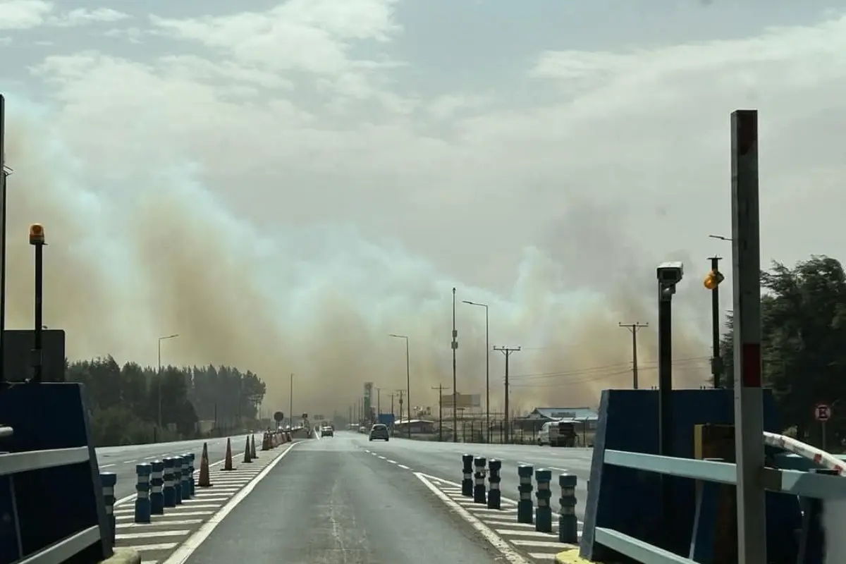 Reportan corte en Ruta 5 Sur tras potente incendio forestal sin control en el Biobío: Alerta Roja para Mulchén